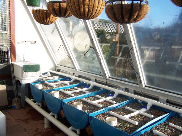 Aquaponics plumbing: Delivery along front glass wall