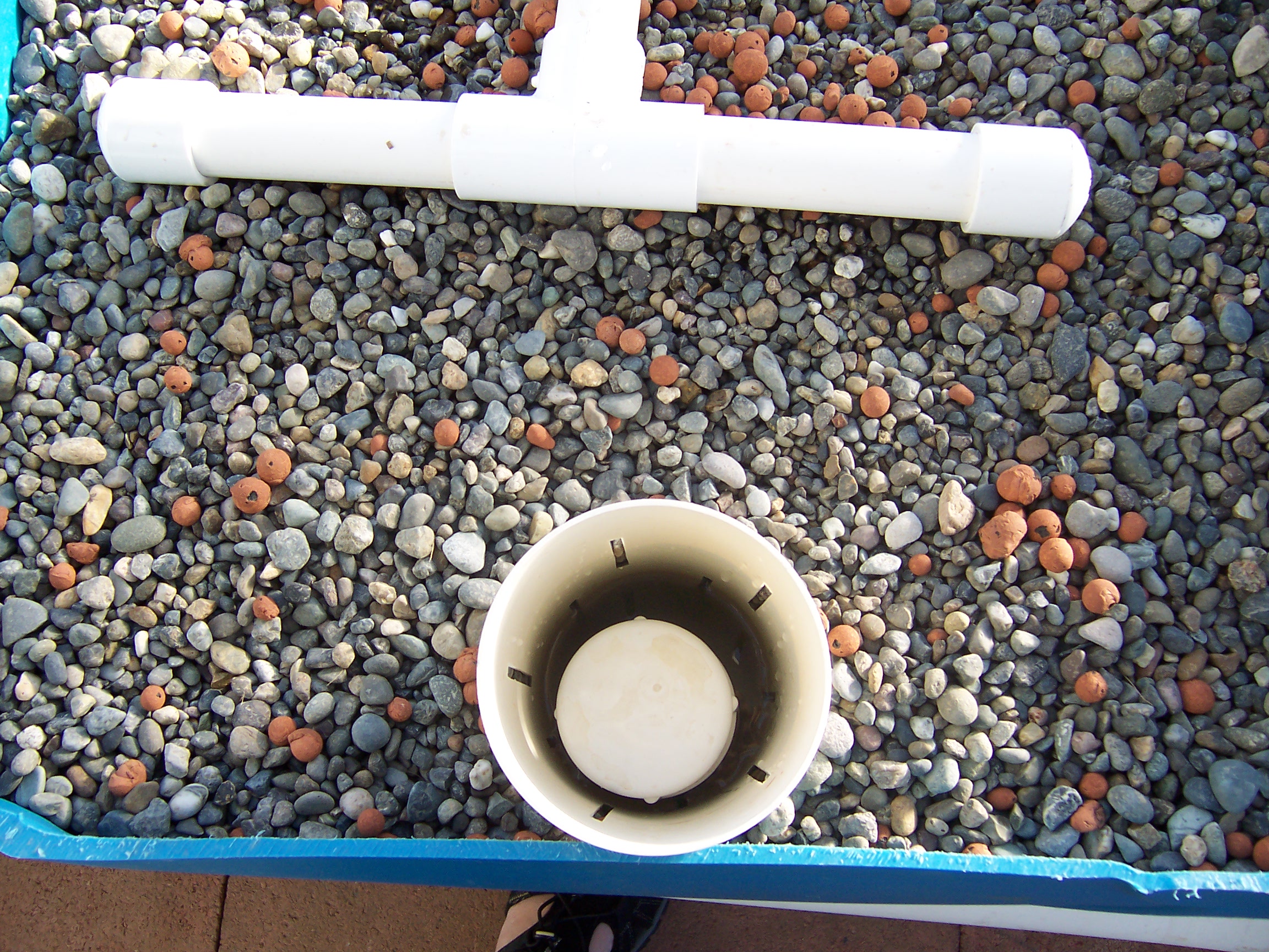 Aquaponics plumbing: Bell siphon in place